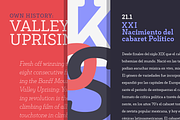 Decour Soft, a Slab Serif Font by Latinotype (Thumbnail 5 of 11)