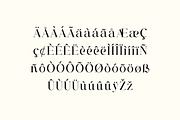 Brigton Newport Serif Font, a Serif Font by UICreative (Thumbnail 3 of 13)