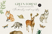 GREEN FOREST watercolor collection, an Object Illustration by long summer (Thumbnail 7 of 17)