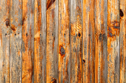 Tree Layer Texture preview 2