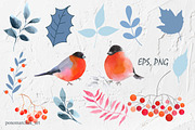 Winter Birds. Vector collection, a Decorative Illustration by Colibri Watercolor (Thumbnail 1 of 9)