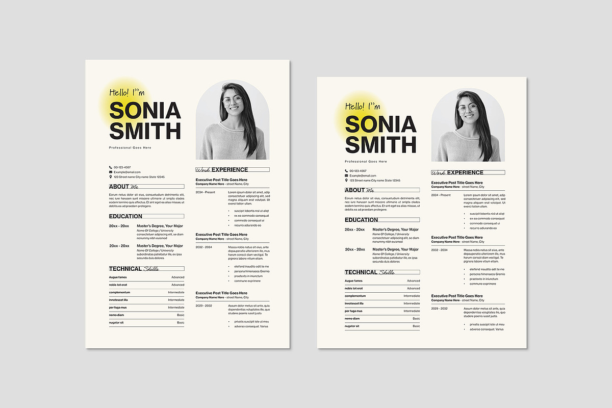 Resume Template preview 4