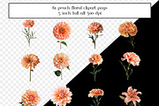 Peach Floral Clipart, Peach Flowers, an Object Graphic by AllTheKewtClipart (Thumbnail 4 of 5)