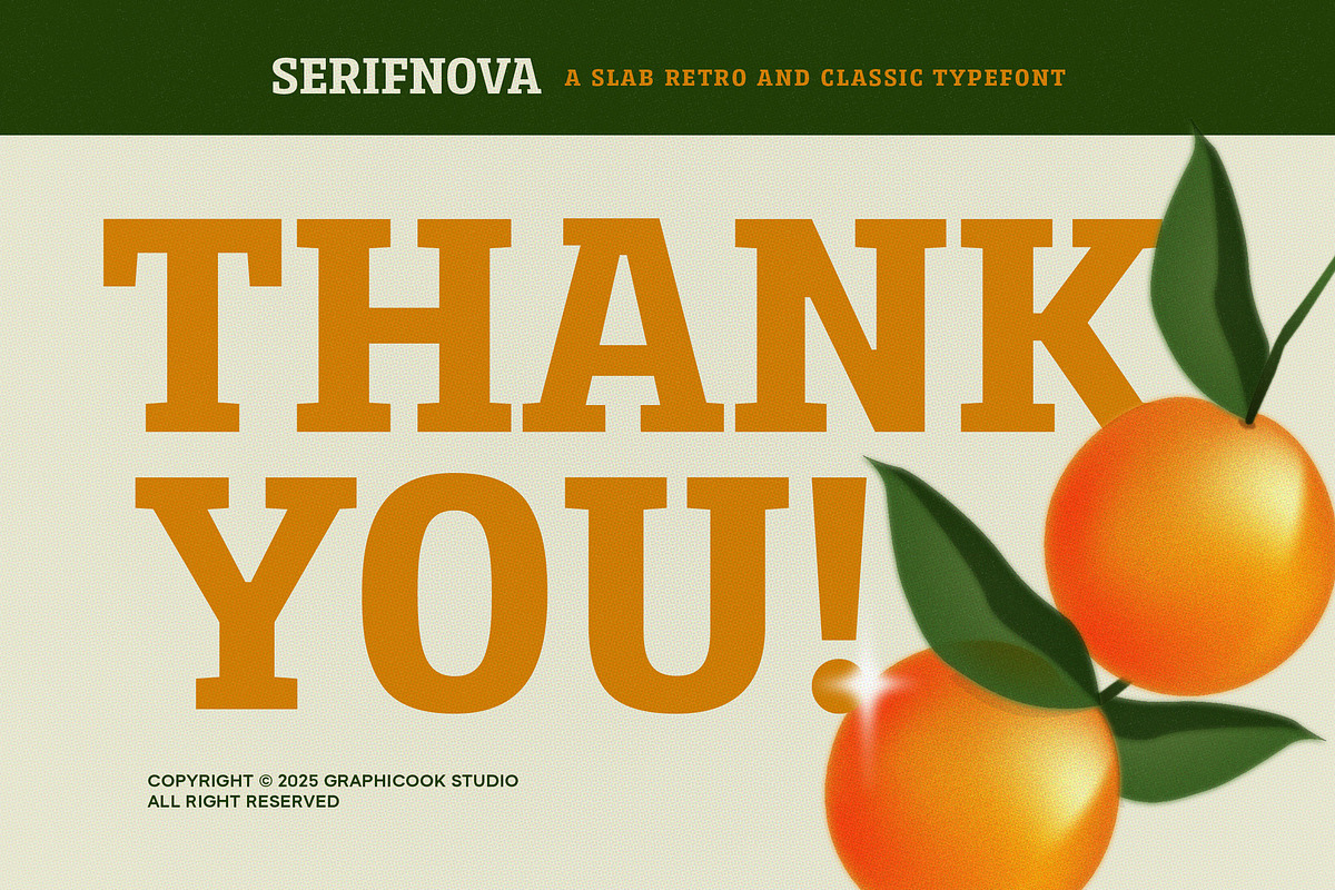 Serifnova, a Serif Font by graphicook (Photo 10 of 10)