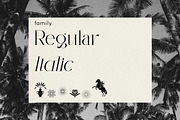 Monteilga Serif Font, a Serif Font by Hishand Studio (Thumbnail 4 of 10)