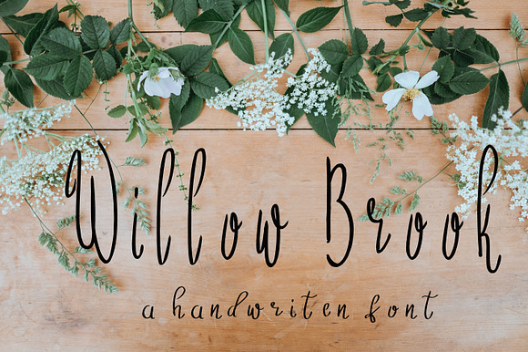 Willow Brook Handwritten Font preview 5