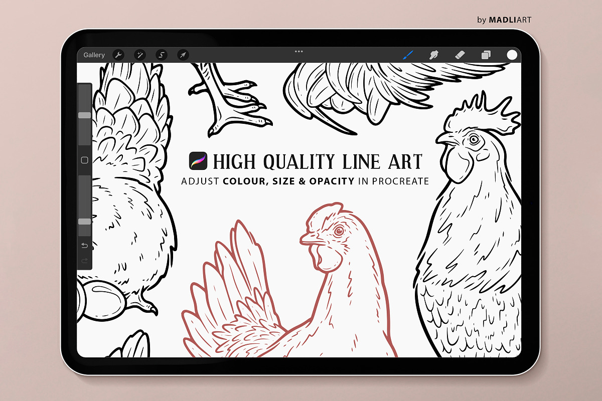 Chicken Hen Rooster Procreate Stamps, a Shape Add-On by MadliArt (Photo 3 of 5)