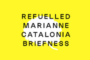 New Melo Typeface, a Sans Serif Font by Foxtype (Thumbnail 3 of 10)