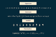 Thirsty is a cool display font, a Handwritten Font by Brown Cupple (Thumbnail 5 of 6)