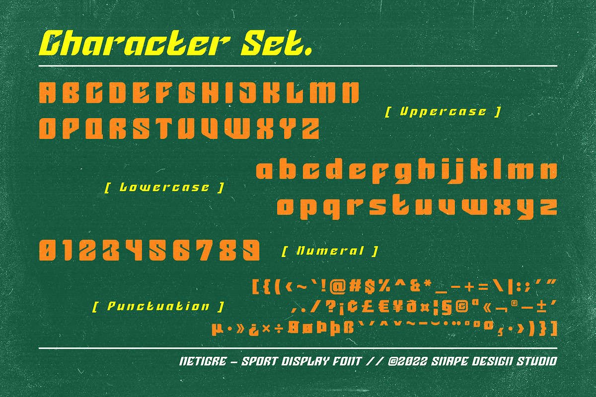 Netigre - Sport Font, a Font by Snape Design Studio (Photo 2 of 5)
