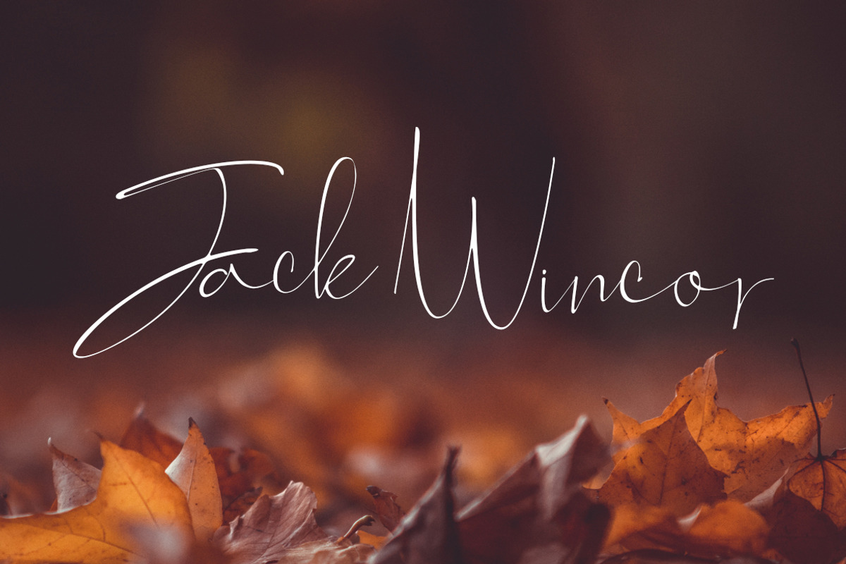 Feallici Script preview 7