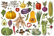 Natural food BUNDLE, a Food Illustration by handsketched (Thumbnail 26 of 26)