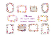Cosmos Watercolor Floral Clipart, a Decorative Illustration by ForhadGFX (Thumbnail 11 of 15)