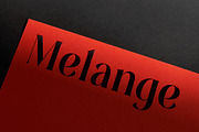 Melange - Serif Font Family, a Serif Font by Dauum Works (Thumbnail 8 of 14)