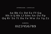 Wefalor - Modern Serif Font, a Script Font by QR Design Studio (Thumbnail 7 of 12)
