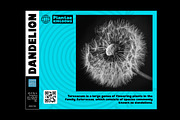 Fontatonic - Bold Sans Serif Fonts, a Sans Serif Font by Ian Irwanwismoyo (Thumbnail 4 of 7)