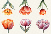 Tulip Flower Bloom Clipart, an Illustration by OK Design (Thumbnail 4 of 5)