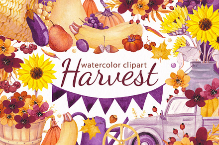 Harvest. Watercolor clipart, a Decorative Illustration by Kuzya's shop