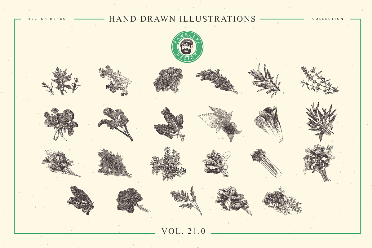 VECTOR HERBS HAND DRAWN BUNDLE v20, a Food Illustration by pawellpi (Photo 6 of 6)