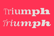 DT Augustina Slab 2 Subfamily, a Slab Serif Font by Deveze Type Foundry (Thumbnail 18 of 30)
