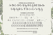 Calligraph | Script Font, a Handwritten Font by Scratchones (Thumbnail 6 of 8)