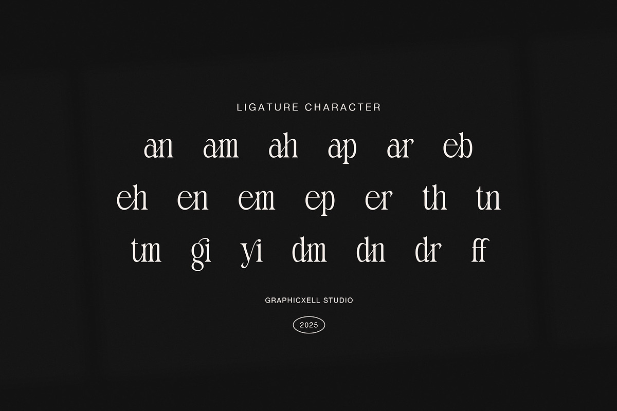 Melgin Elegant Modern Serif Font, a Serif Font by Graphicxell (Photo 8 of 8)