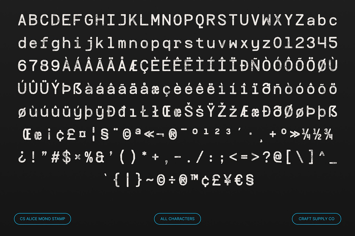 CS Alice Mono Stamp, a Sans Serif Font by Craft Supply Co. (Photo 8 of 8)