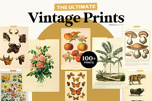 Vintage Prints Poster Bundle 100