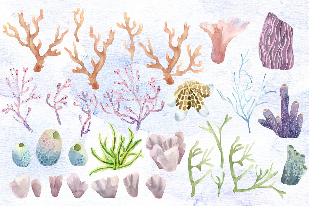 Watercolor set of underwater life, an Animal Illustration by Watercolor arts (Photo 2 of 8)