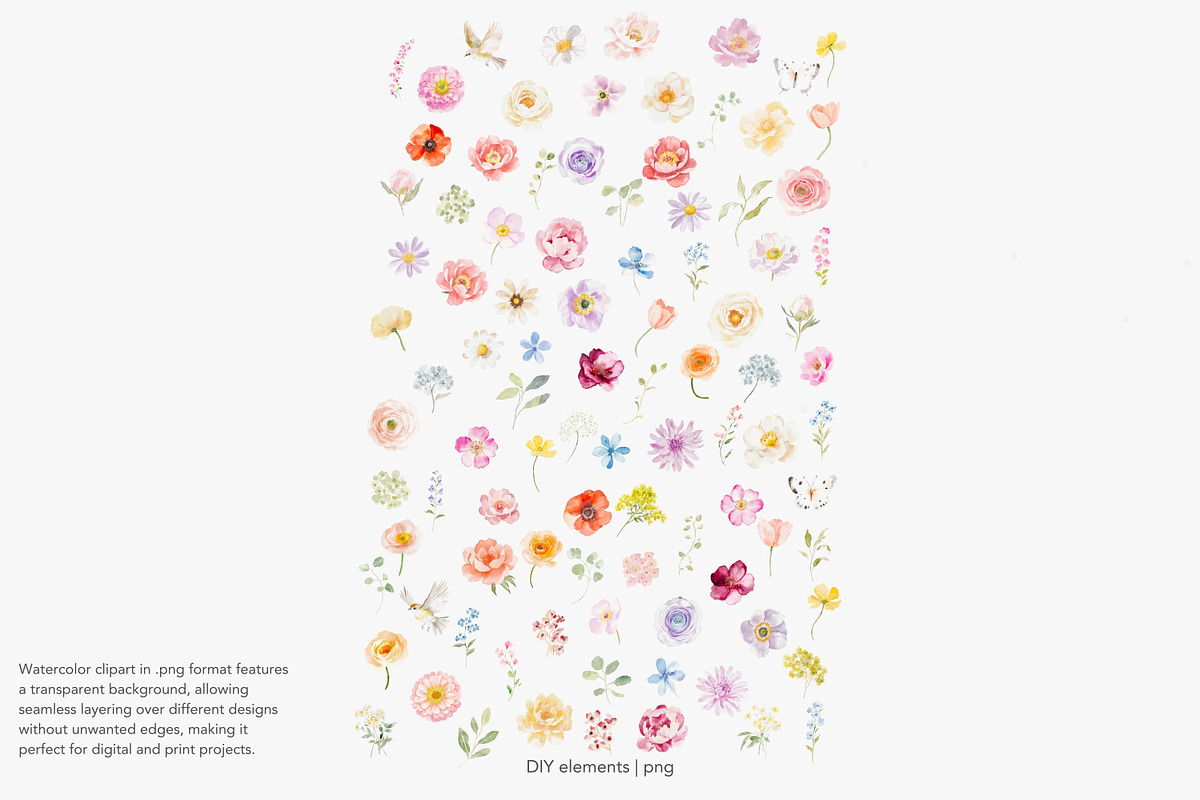 watercolor spring blossoms huge set, a Decorative Illustration by Patishop Art (Photo 19 of 20)