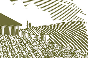 Woodcut Vineyard Landscape