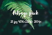 Foliage pack, a Templates & Theme by ApertureVintage (Thumbnail 8 of 21)