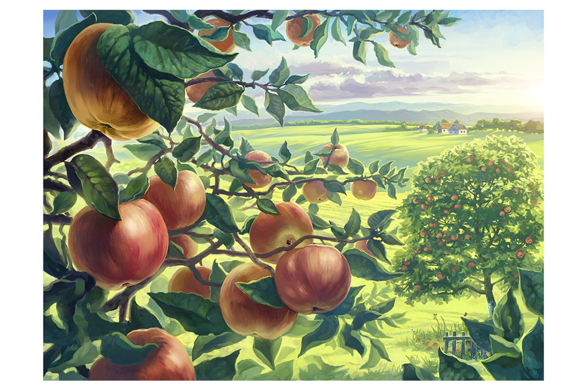 Apple set, a Food Illustration by Countryside life (Photo 5 of 12)
