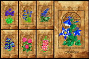 Enchanted flowers tarot deck, a Decorative Illustration by Samiramay (Thumbnail 3 of 12)