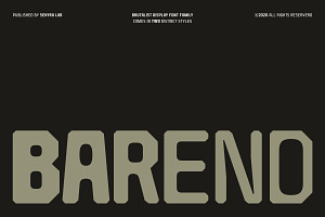 Barend - Brutalist Display Sans Font
