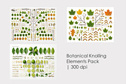 3 Botanical Knolling Elements Pack, an Education Illustration by StockVerse Creative (Thumbnail 1 of 4)