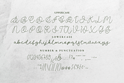 Gilded Lumiere - An Elegant Font Duo, a Script Font by Ainun Jinan (Thumbnail 11 of 12)