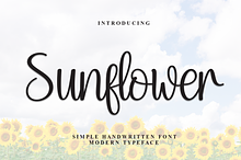 Sunflower | Script Font