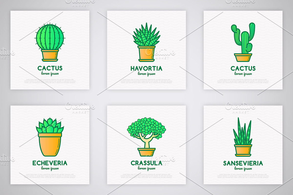 Succulents | 16 Thin Line Icons, an Outline Icon by Alex Blogoodf (Photo 4 of 9)