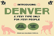DENVER by Old Colorado Type Co., a Font by Old Colorado Type Co. (Thumbnail 1 of 3)