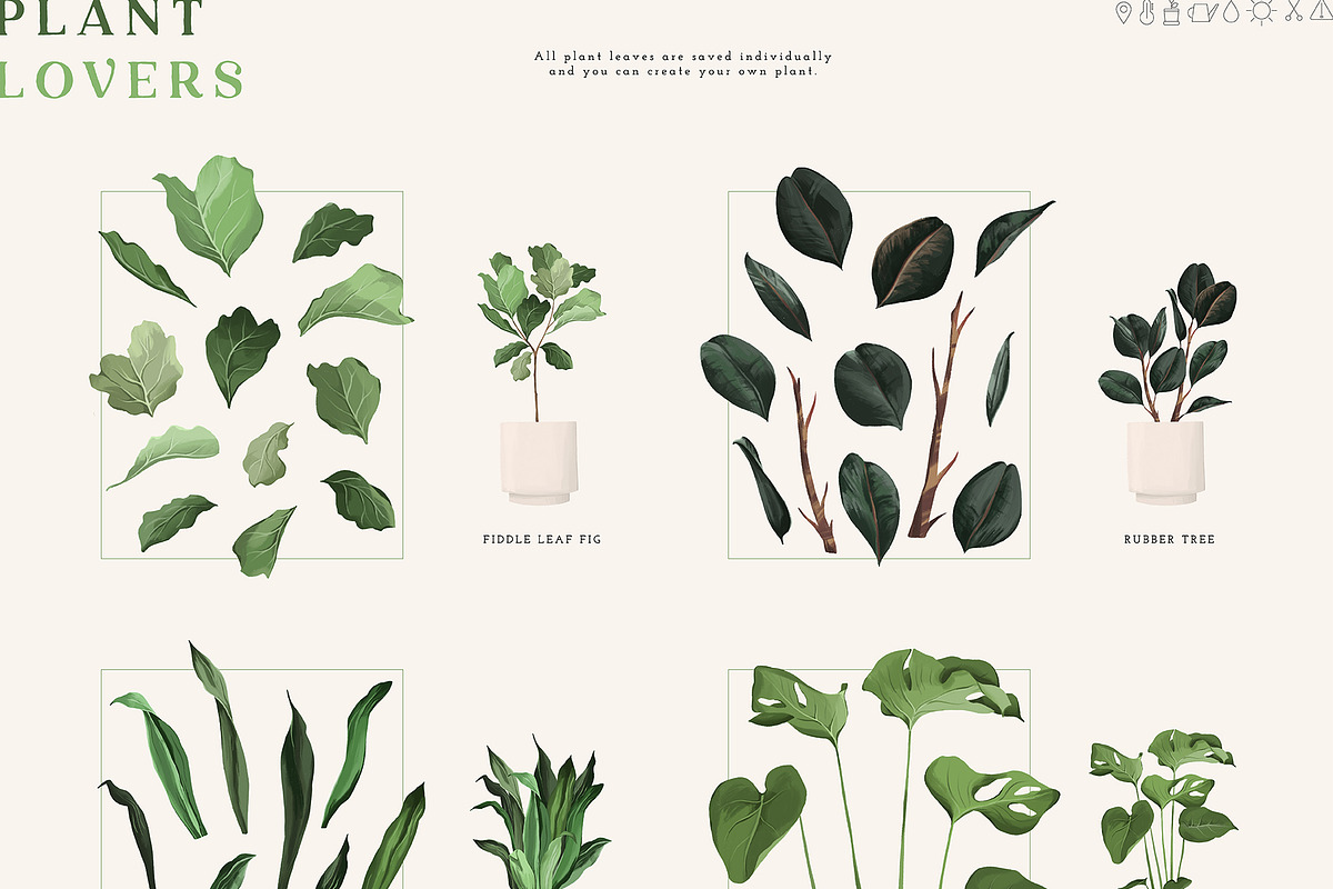Plant Lovers Collection, a Texture Illustration by Julia Dreams (Photo 9 of 12)