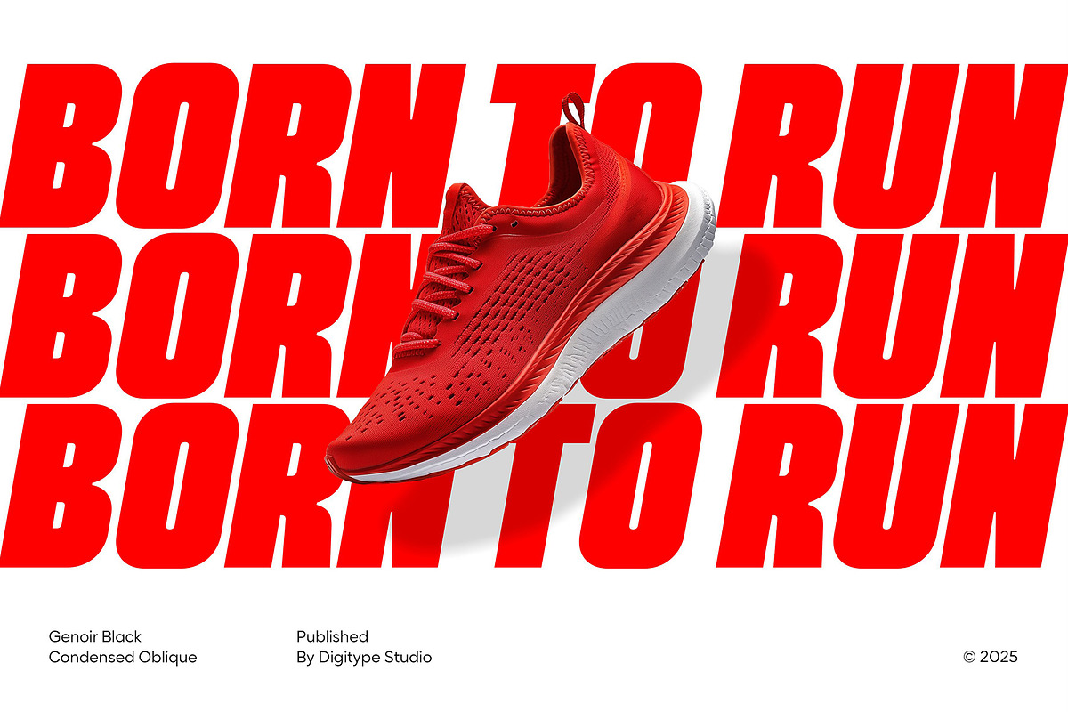 Genoir – Bold Display Font Family, a Font by Digitype Studio (Photo 4 of 10)