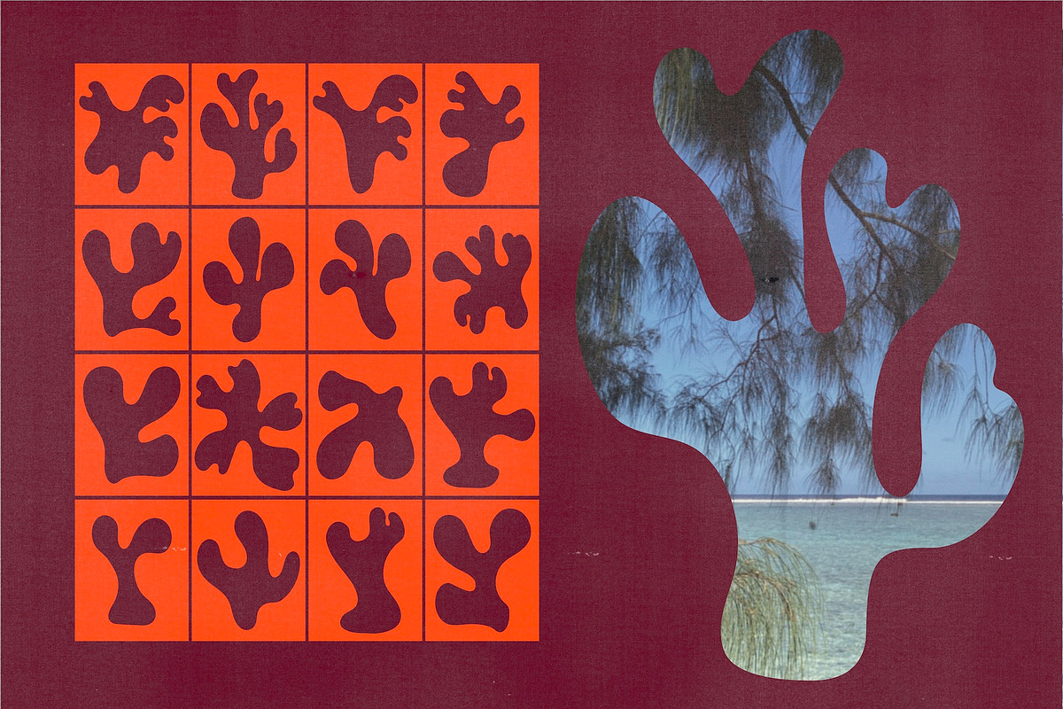 Coral – Hand Drawn Coral Forms, a Decorative Illustration by Madeline ODonoghue Design (Photo 15 of 15)