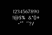 Blockstone Modern Display Serif Font, a Serif Font by UICreative (Thumbnail 3 of 13)
