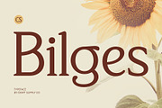 CS Bilges – Classic Font, a Serif Font by Craft Supply Co. (Thumbnail 1 of 8)