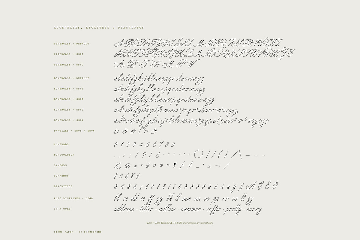 Birch Paper // Handwritten Font, a Script Font by PeachCreme (Photo 14 of 14)
