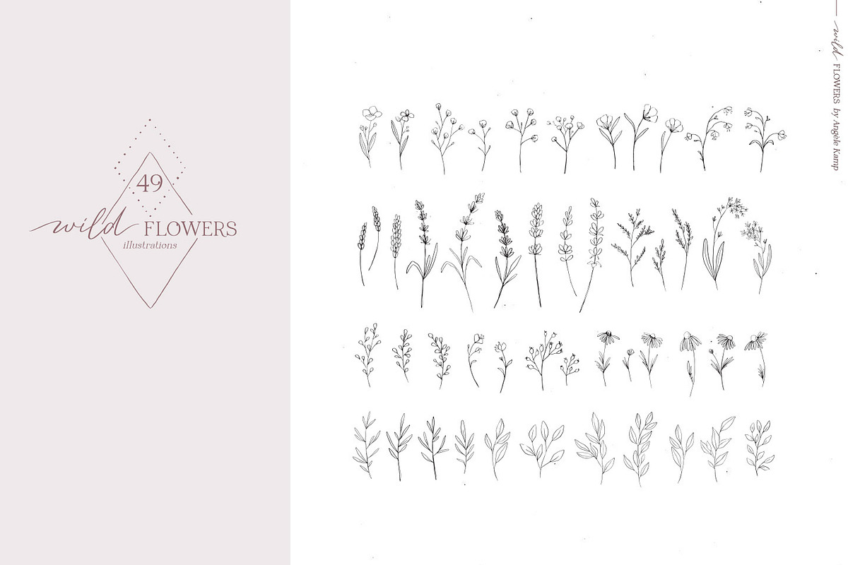 Wild flowers illustration clipart, an Illustration by Angele Kamp (Photo 15 of 15)