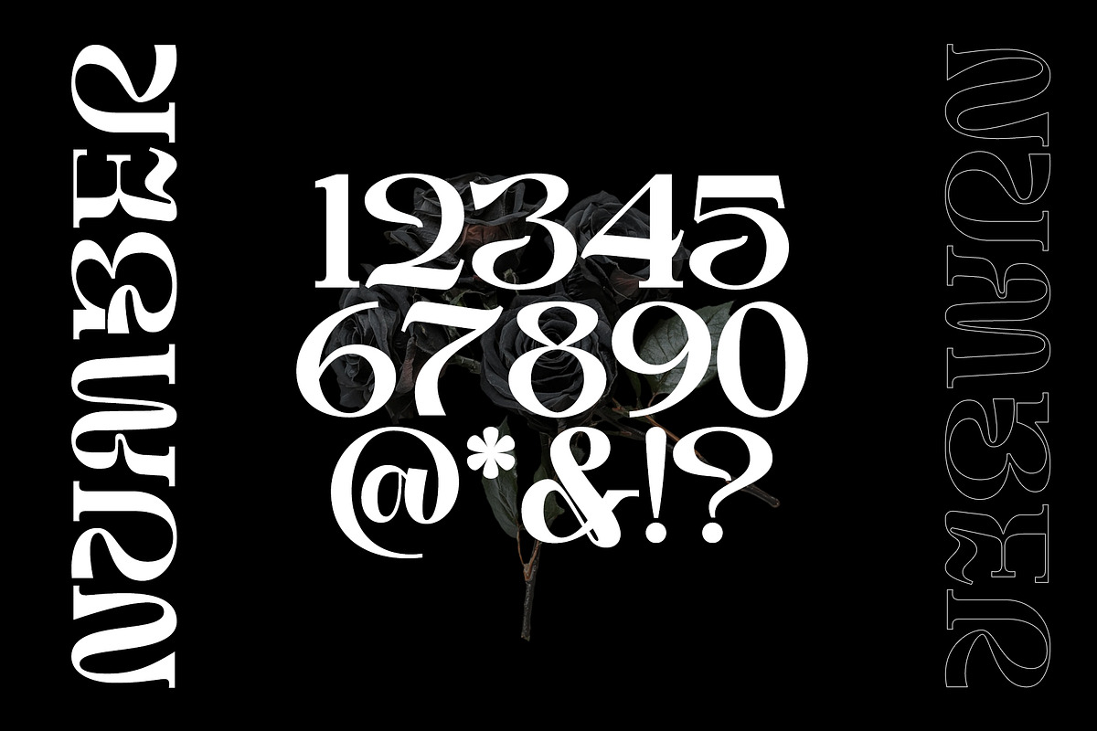 Struick Display Serif, a Serif Font by Violet Natural (Photo 5 of 10)