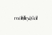 Sienne - Elegant Display Sans Serif, a Sans Serif Font by spectertype (Thumbnail 8 of 8)