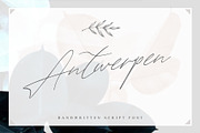Antwerpen, a Script Font by Creamy Script (Thumbnail 1 of 6)